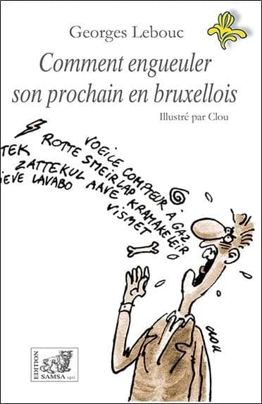 Comment engueuler son prochain en bruxellois ; essai