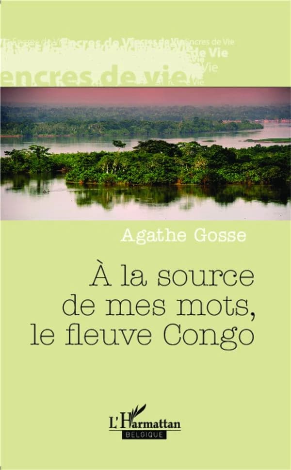 À la source de mes mots, le fleuve Congo : récit