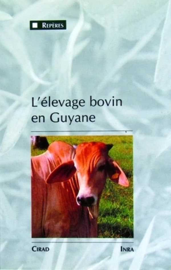 L'élevage bovin en Guyane : une innovation majeure dans un milieu équatorial de plaine, 1975-1990
