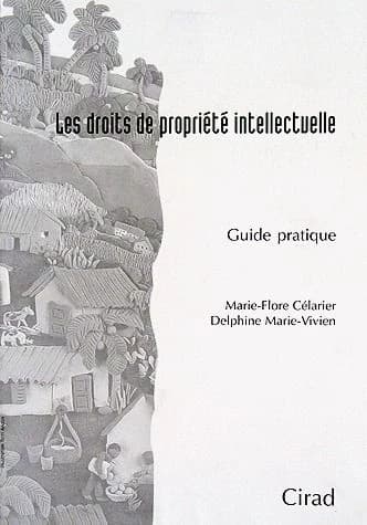 Les droits de propriété intellectuelle : guide pratique