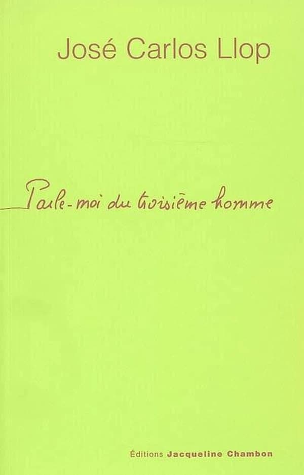 Parle-moi du troisième homme : roman