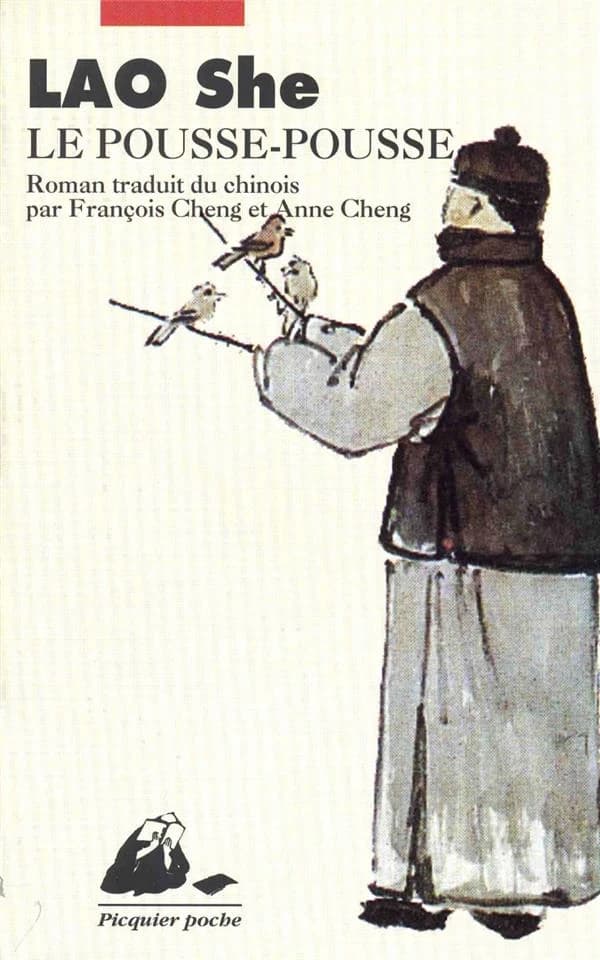 Le pousse-pousse : roman