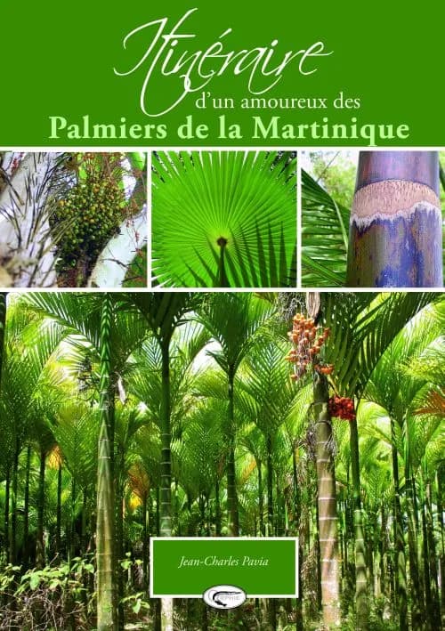 Itinéraire d'un amoureux des palmiers de la Martinique