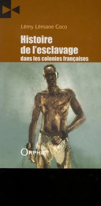 Histoire de l'esclavage dans les colonies françaises : histoire des diasporas