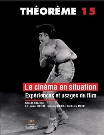 Le cinéma en situation : expériences et usages du film