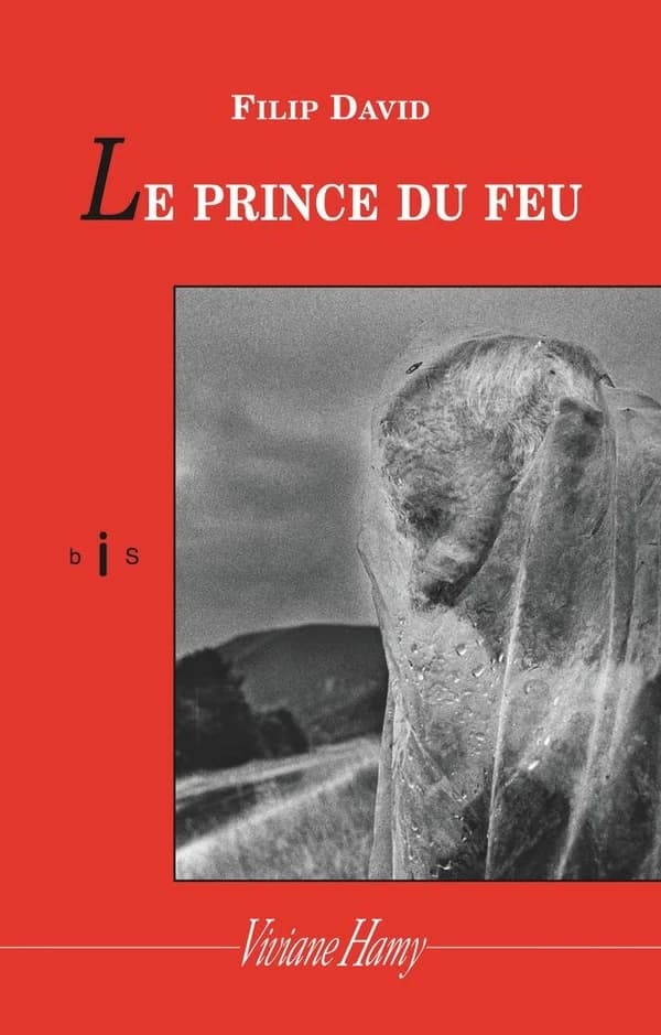 Le Prince du feu : [nouvelles]