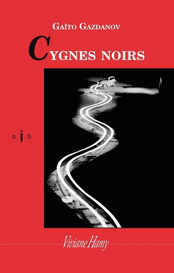 Cygnes noirs : roman