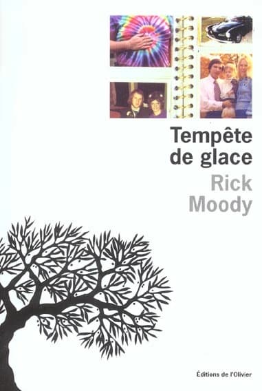 Tempête de glace