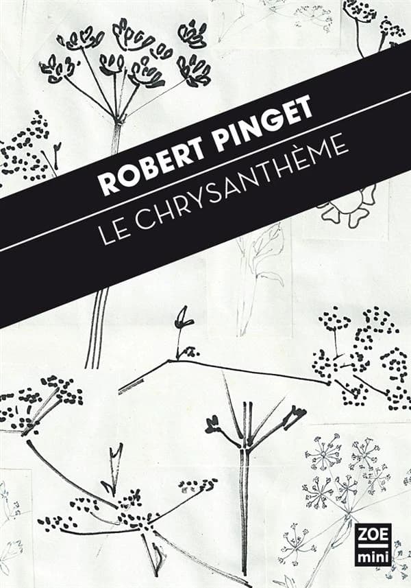 Le chrysanthème