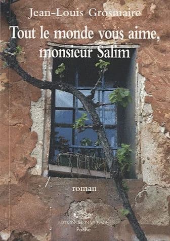 Tout le monde vous aime, monsieur Salim : roman
