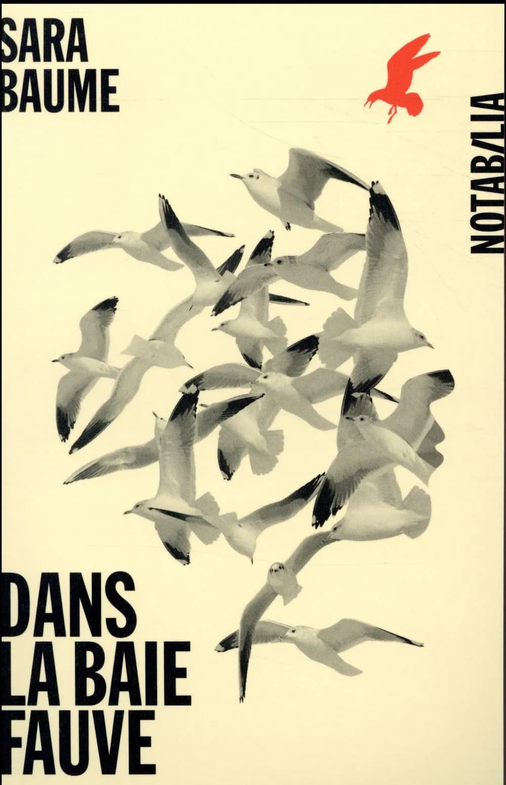 Dans la baie fauve : roman