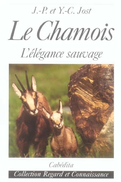 Le chamois : l'élégance sauvage