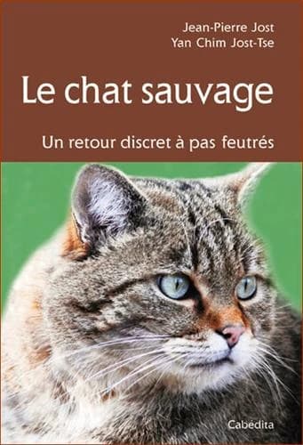 Le chat sauvage : un retour discret à pas feutrés