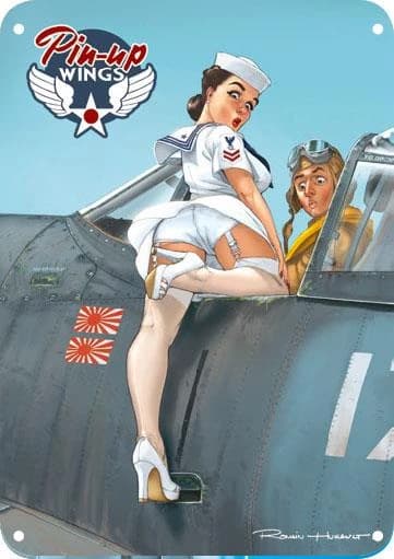 Pin-up wings : Birdcage : plaque métallique