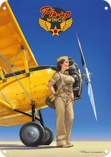 Pin-up wings : N3N : plaque métallique
