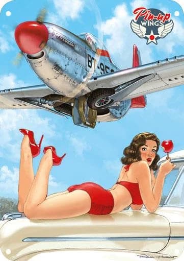 Pin-up wings : P51 : plaque métallique