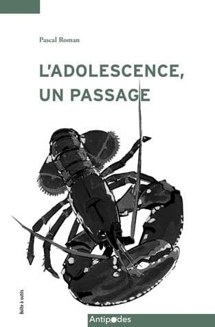 L'adolescence, un passage : guide à destination des parents et des professionnel.le.s