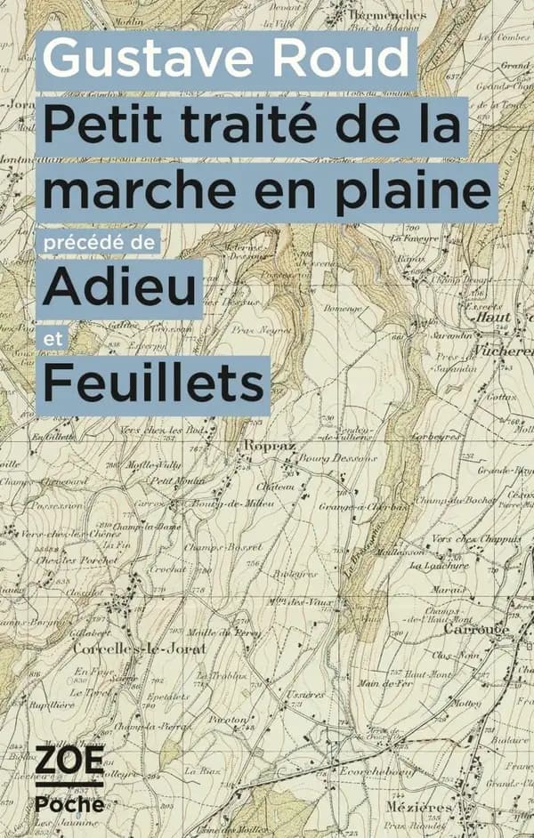 Petit traité de la marche en plaine ; précédé de Adieu... ; Feuillets