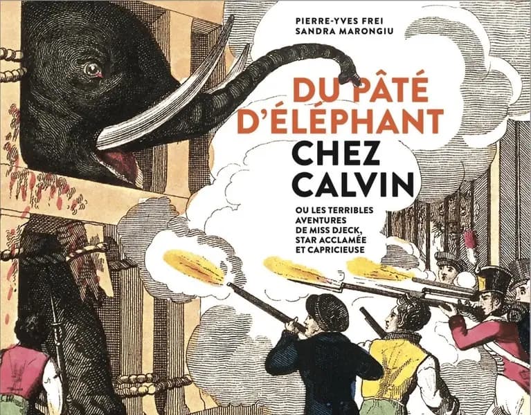 Du pâté d'éléphant chez Calvin ou Les terribles aventures de miss Djeck, star acclamée et capricieuse