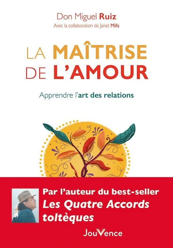 La maîtrise de l'amour : Apprendre l'art des relations