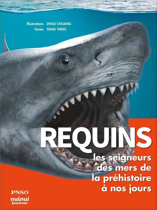 Requins : les seigneurs des mers de la Préhistoire à nos jours