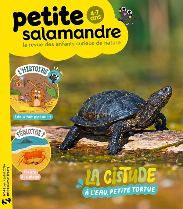 La petite salamandre n.54 : La cistude : à l'eau, petite tortue ; Juin
