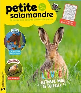 La petite salamandre n.64 : Février 2026