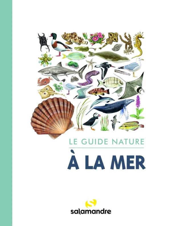 À la mer