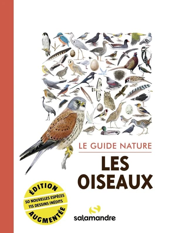 Les oiseaux