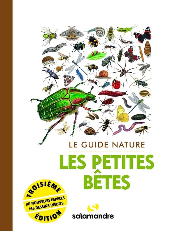 Les petites bêtes (3e éd. revue et augmentée) ouvrage collectif dirigé par Alessandro Staehli ; textes, Aino Adriaens, Sophie Giriens, Nathan Horrenberger... [et al.] ; dessins, Jean Chevallier, Philippe Coque, Gaëtan du Chatenet... [et al.]
