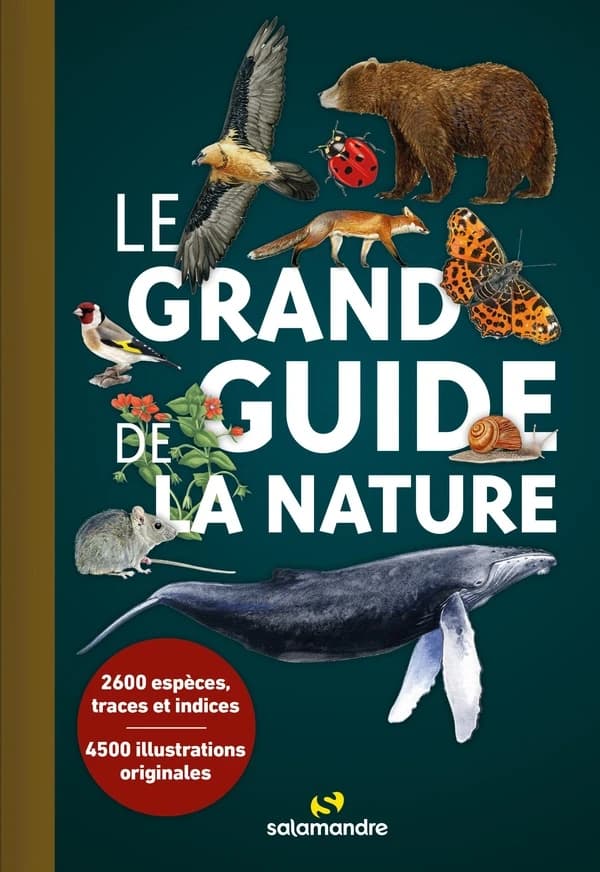 Le grand guide de la nature (Édition compacte) ouvrage collectif sous la direction d'Alessandro Staehli et Franck Bas
