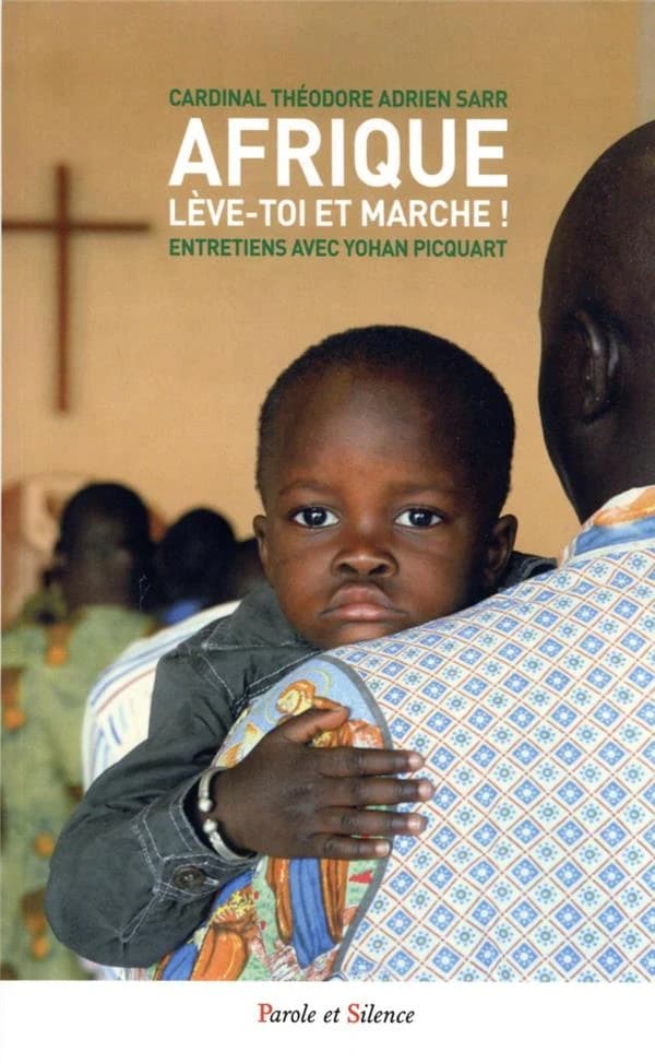 Afrique, lève-toi et marche ! : entretiens avec Yohan Picquart