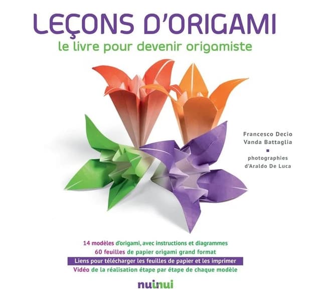 Leçons d'origami : le livre pour devenir origamiste...