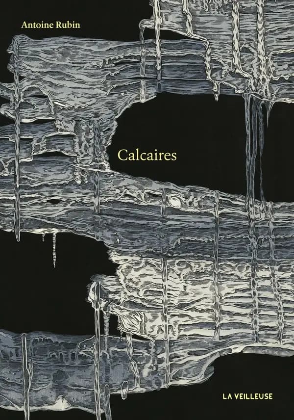 Calcaires : promenades en terres oubliées : roman