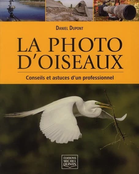 La photo d'oiseaux : conseils et astuces d'un professionnel
