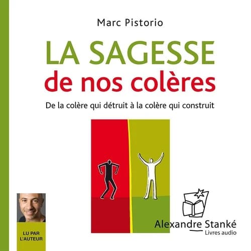 La sagesse de nos colères ; de la colère qui détruit à la colère qui construit