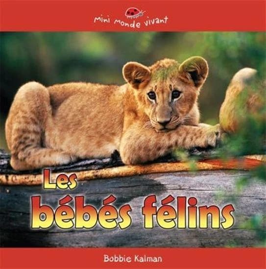 Les Bébés Félins