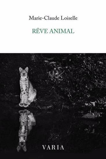 Reve animal