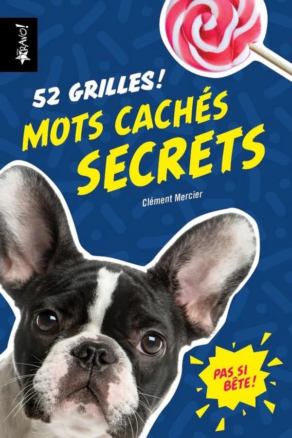 Mots cachés secrets : 52 grilles !