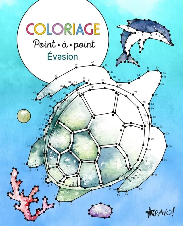Evasion : Coloriage point-à-point