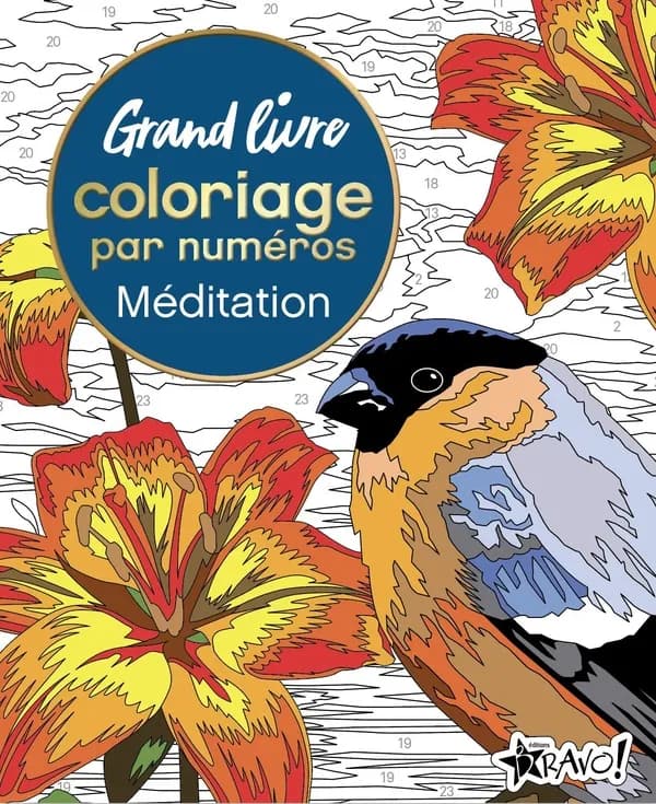 Méditation : Grand livre coloriage par numéros