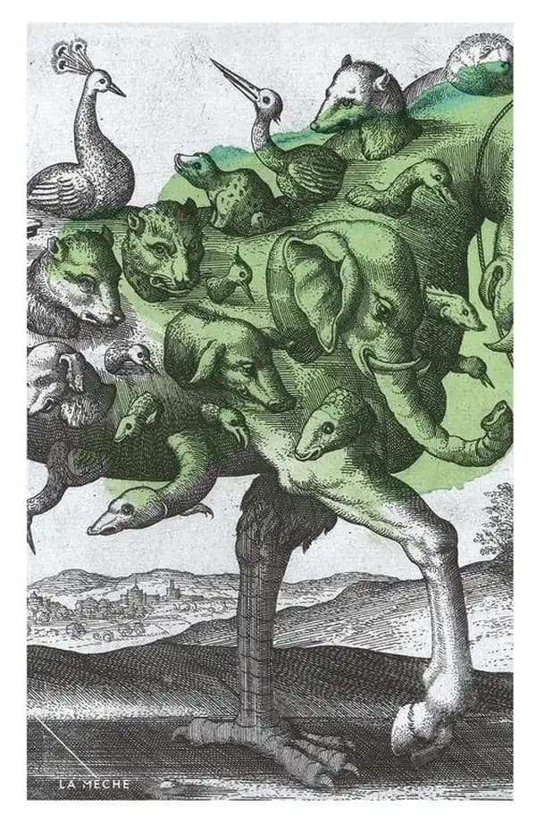 Autobiographie de l'esprit : écrits sauvages et domestiques (2e édition, revue et augmentée) Élise Turcotte