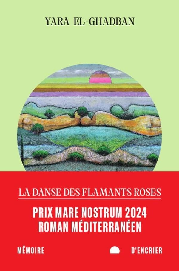 La danse des flamants roses