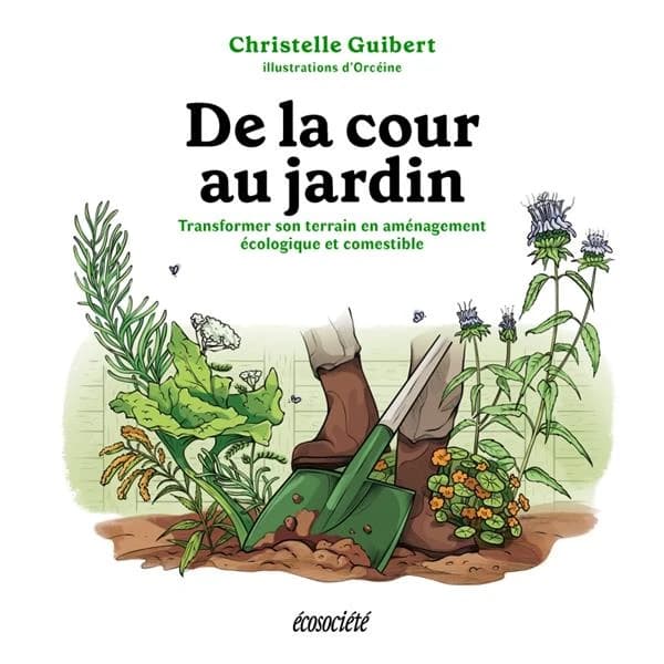 De la cour au jardin : transformer son terrain en aménagement écologique et comestible