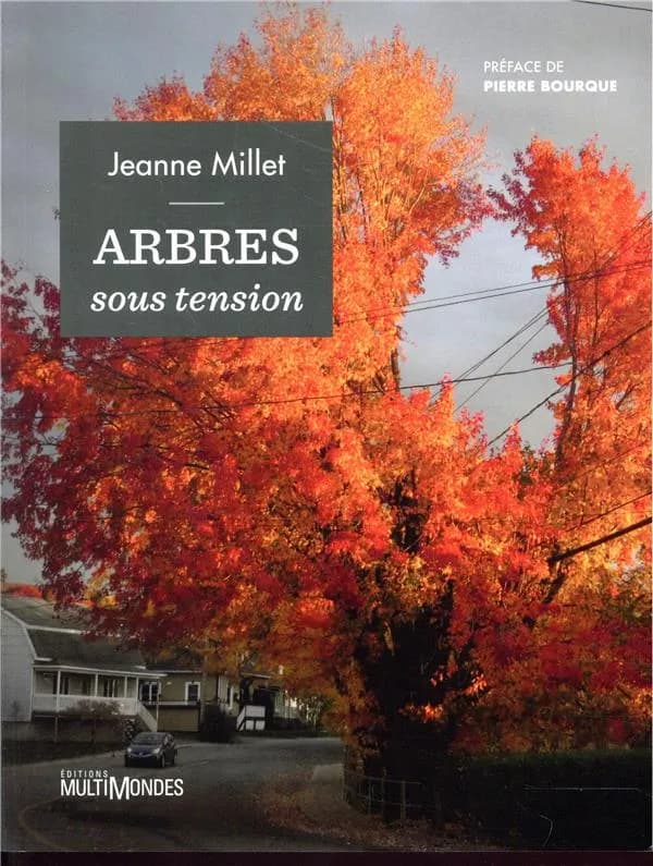 Arbres Sous Tension