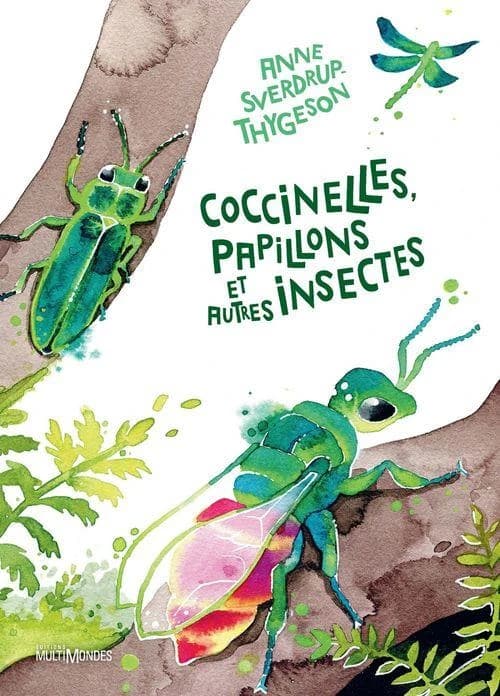 Coccinelles, papillons et autres insectes