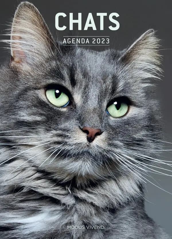Chats : agenda (édition 2023)