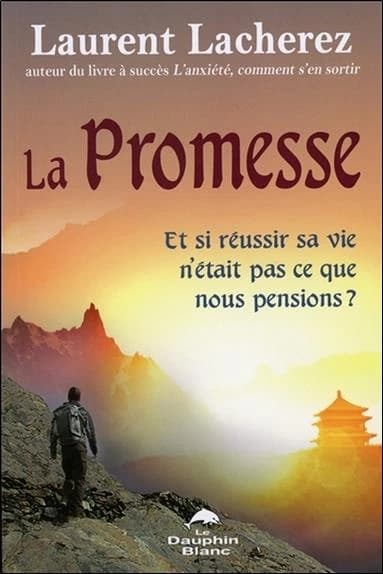 La promesse : et si réussir sa vie n'était pas ce que nous pensions ? : une histoire inspirée de faits vécus