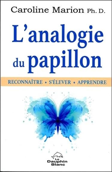 L'analogie du papillon : reconnaître, s'élever, apprendre