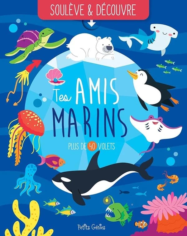 Soulève et découvre : Tes amis marins
